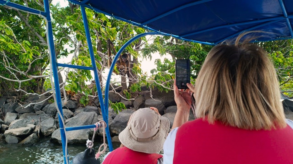En la isla de los monos