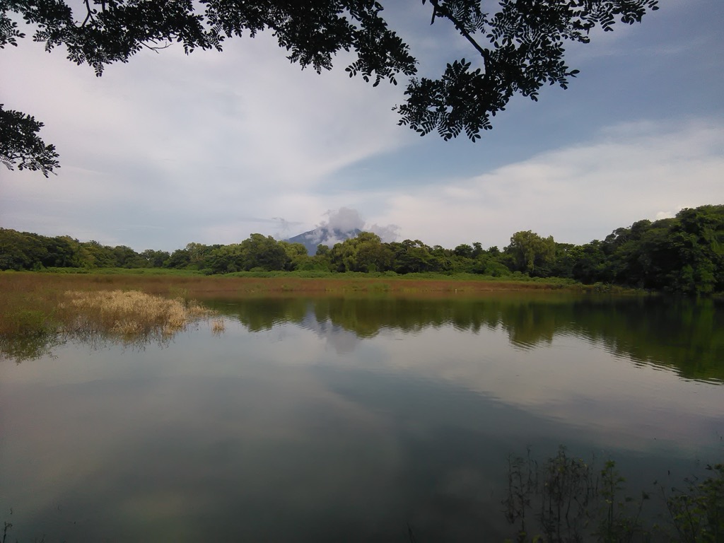 Foto de charco verde